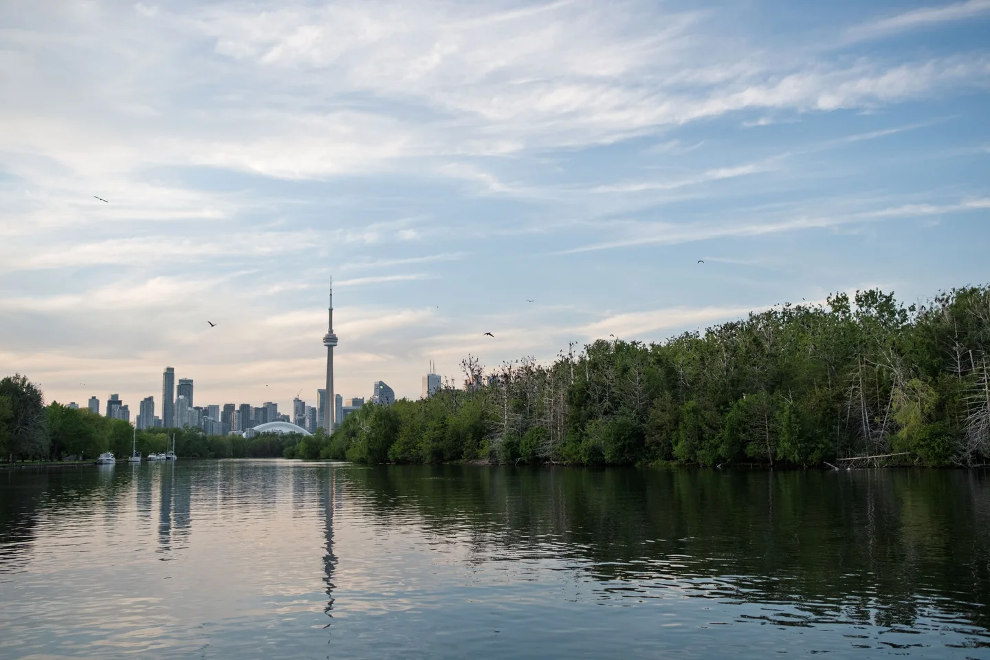 A skyline beyond a tree-lined channel reflected in calm water beneath streaked clouds.